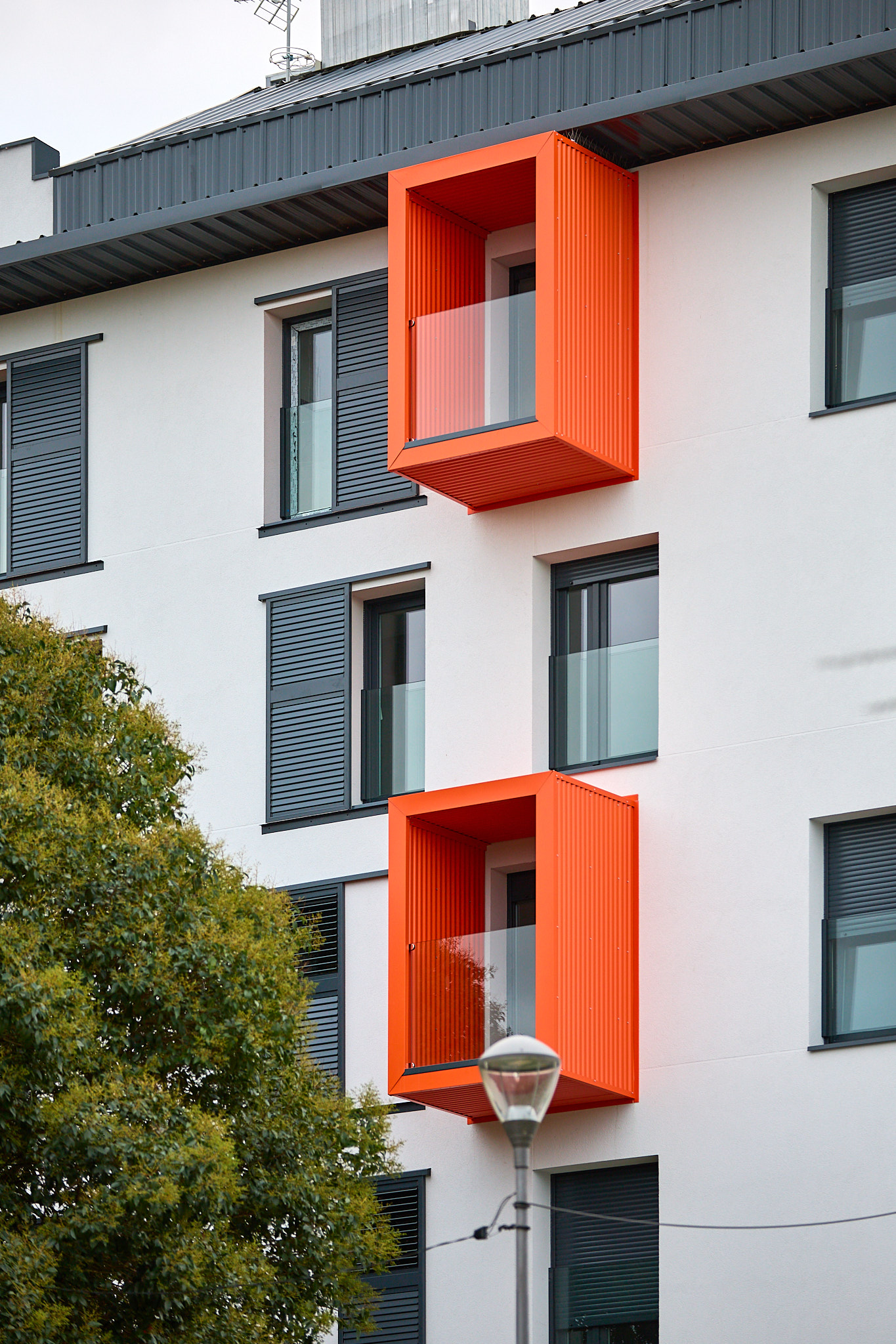 Programa de Alquiler Colaborativo para Jóvenes